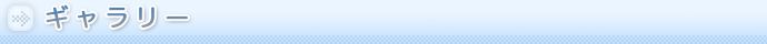 ギャラリー