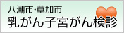 八潮市・草加市 乳がん子宮がん検診