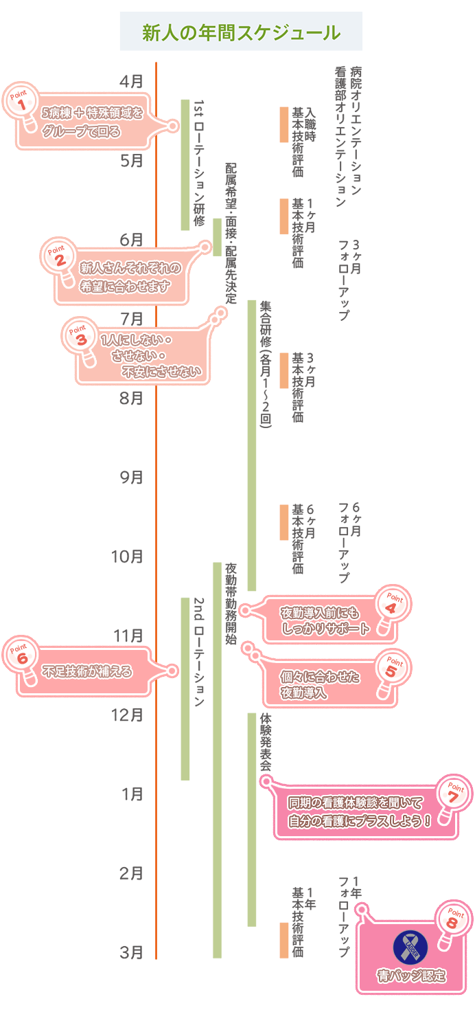 新人看護職員のロードマップ